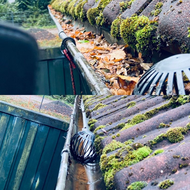 Laub / Blätter in einer Regenrinne unter einem schrägen Dach.