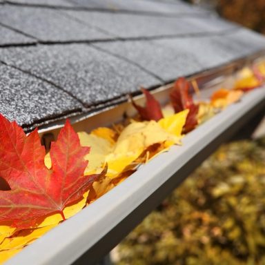 Bunte Herbstblätter in einer Dachrinne, überwiegend rot und orange.